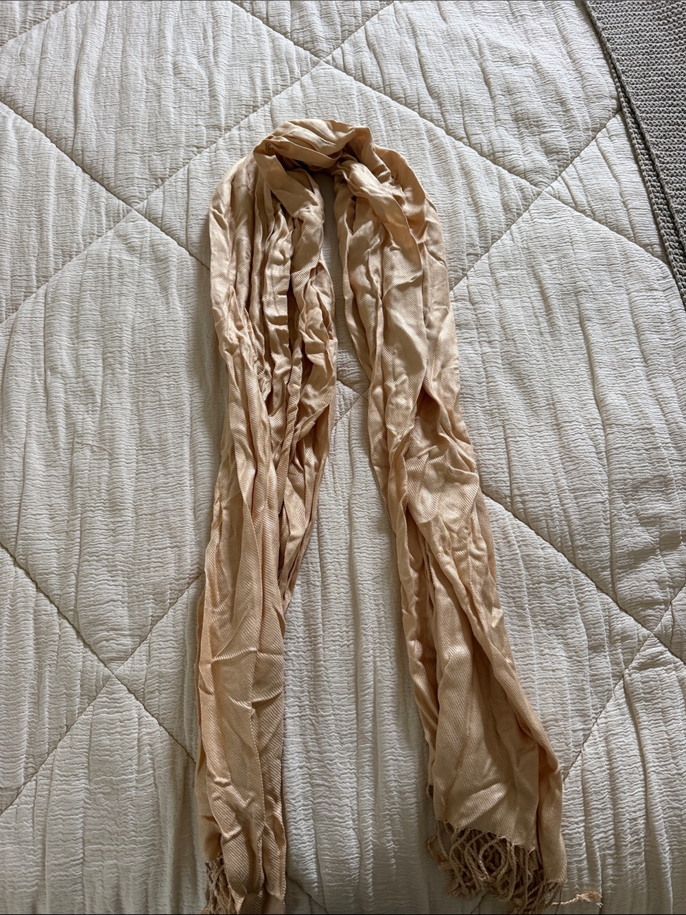 pashmina Soft Champagne Sheer Pashmina